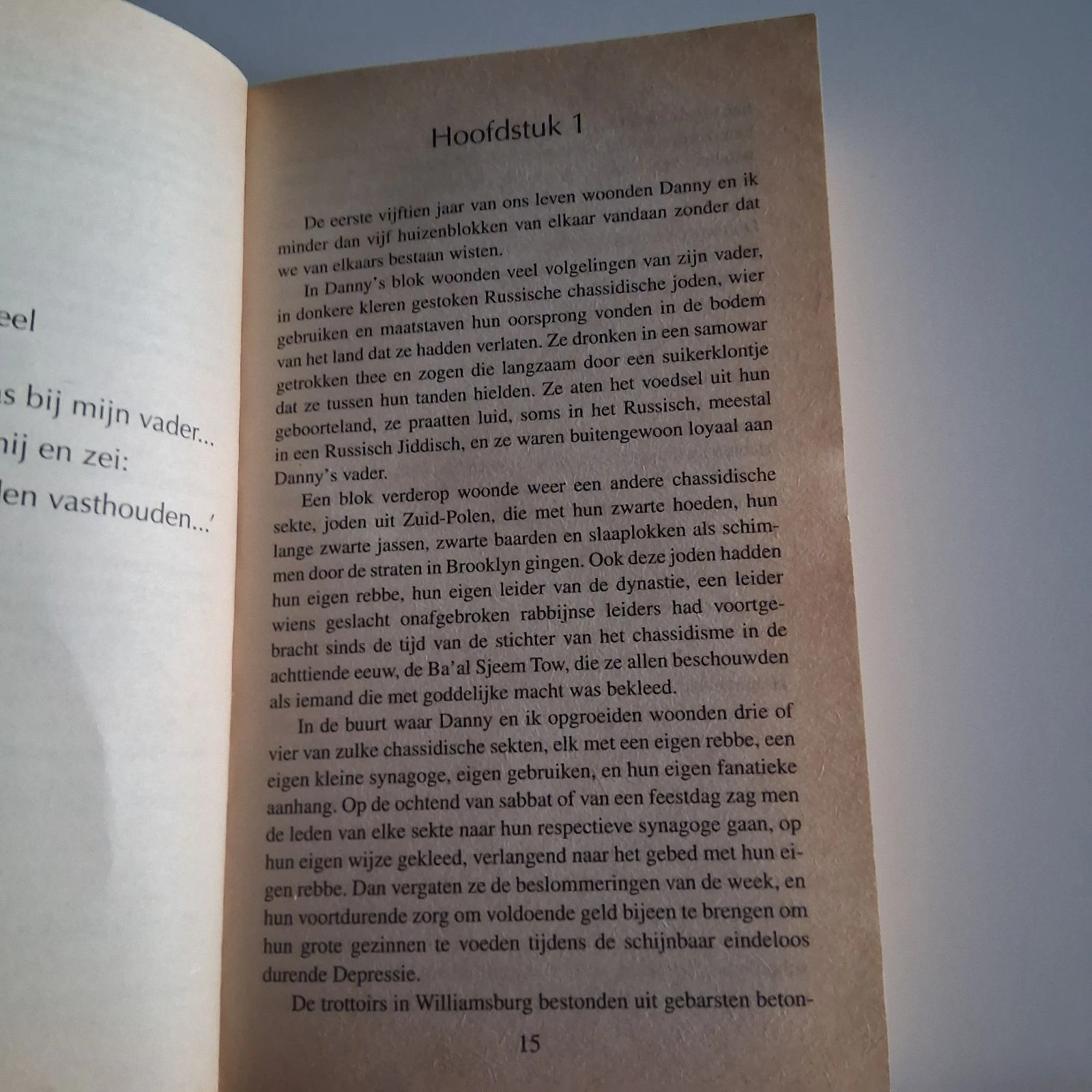 Livre - Chaim Potok - Élu – photo 4